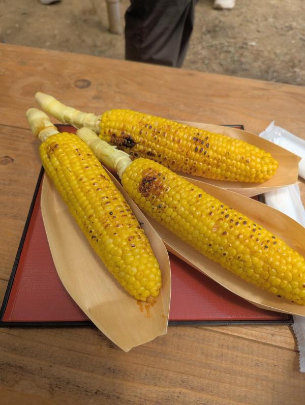 とうもろこし祭り