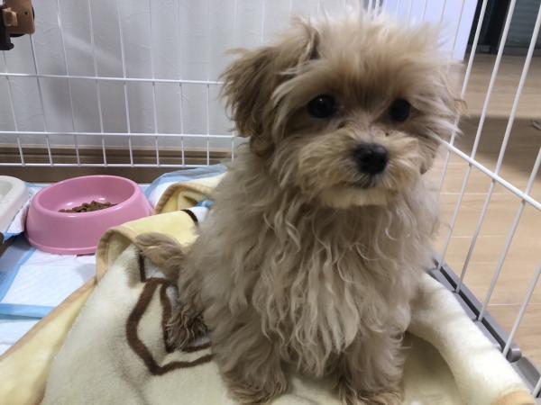 娘が出来ました。